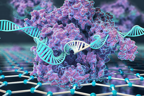 New CRISPR-Chip detects genetic mutations in minutes using unamplified DNA | Design, Science and Technology | Scoop.it