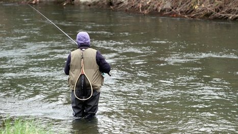 Un jeune pêcheur piégé dans la neste du Louron | Vallées d'Aure & Louron - Pyrénées | Scoop.it