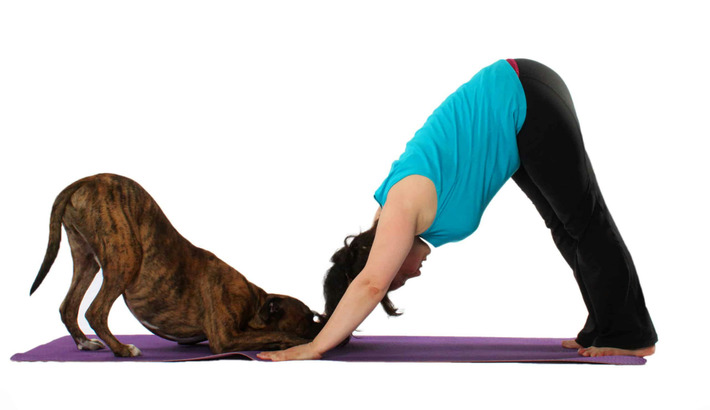 Tendances tourisme : 2023, l'ann&eacute;e du chiot-yoga? | Tendances - Etourisme | Scoop.it