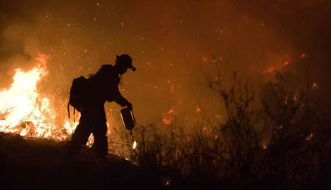 Simultaneous large wildfires will increase in Western US, says study - PHYS.org | Agents of Behemoth | Scoop.it