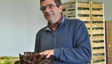 MIN de Lomme : le marché de gros de Lille va devenir pôle d’excellence Euralimentaire | Vers la transition des territoires ! | Scoop.it