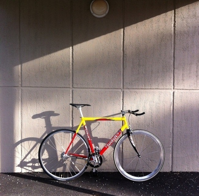 wilier triestina pro race