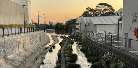 Bell frogs, dugong bones and giant cauliflowers: water stories come to life at Green Square | Stage 6 HSC Geography ( Current syllabus) | Scoop.it