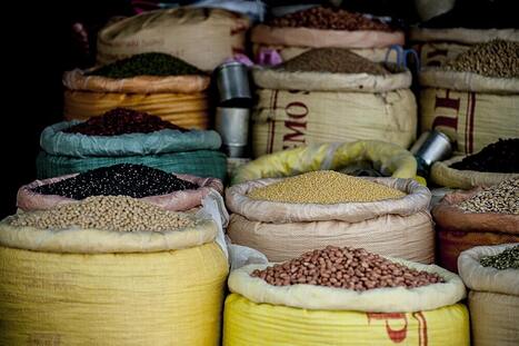 Investing In Food‑Waste Solutions: Market Signals And Leaders To Watch | Industry 411 - Waste Management | Scoop.it