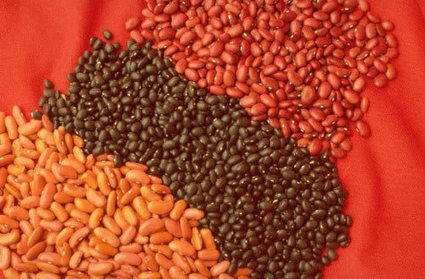 Des maisons de semences paysannes pour se lib&eacute;rer de l'agrobusiness - Souverainet&eacute; alimentaire | Indignations & GLOBAL(R)EVOLUTION | Scoop.it