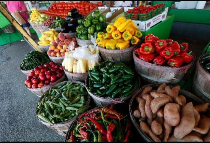 Italian Lawmaker Equates Vegan Diet With Child Abuse, But Doctors, Dietitians Say It Can Be Healthy | The Health Report | Scoop.it