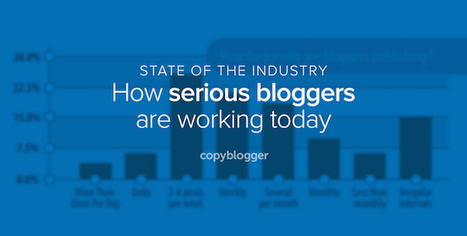 How Do You Compare to Serious Business Bloggers? | Copyblogger | Public Relations & Social Marketing Insight | Scoop.it