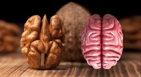 8 aliments qui soignent les organes auxquels ils ressemblent | La Sagesse de la Nature | Scoop.it