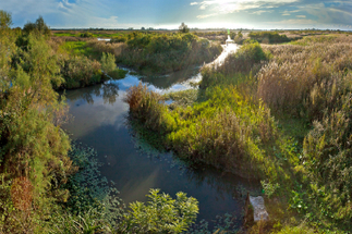 Qui inversera la courbe de la disparition des zones humides ? | Biodiversité | Scoop.it