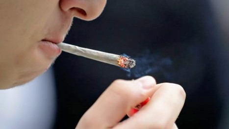 Alcool&nbsp;: Pernod Ricard s'int&eacute;resse au cannabis | Sant&eacute;, m&eacute;decine, sexualit&eacute; et culture g&eacute;n&eacute;rale | Scoop.it