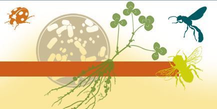 Microorganismes et invertébrés | Insect Archive | Scoop.it