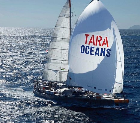 Expédition Tara Océan | HALIEUTIQUE MER ET LITTORAL | Scoop.it