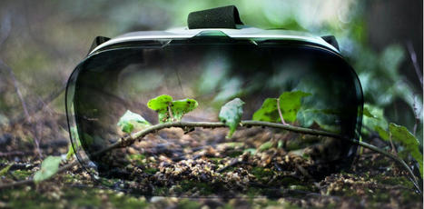 Virtual reality can support and enhance outdoor environmental education | Imagine Online International Education | Scoop.it