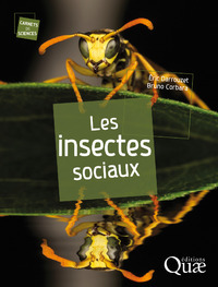 Les biblioth&egrave;ques de Paris vous pr&ecirc;tent des liseuses | Insect Archive | Scoop.it