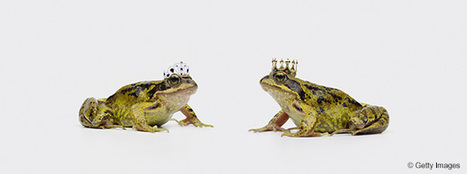 Storytelling digital : quel format adopter ? - HBR | Faber Content | marketing et contenus | Scoop.it