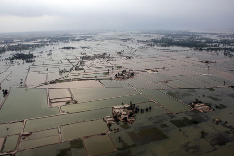 UNOSAT Flood Portal | International development | Scoop.it