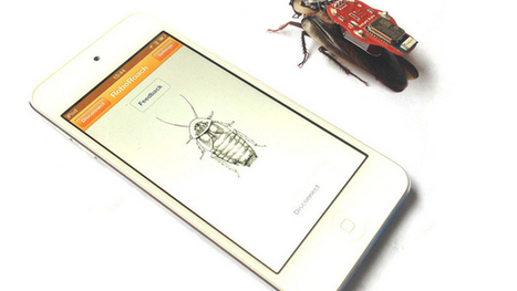 Kickstarter: Les gadgets les plus fous du Net - News High-Tech ... | Innovating to what's next... | Scoop.it