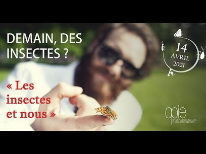 [Replay 1/5] Le rapport entre les hommes et les insectes - Les insectes dans l'imaginaire collectif | EntomoScience | Scoop.it