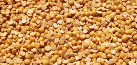 Comment rendre la protéine de pois gourmande ? | Huiles végétales | Scoop.it