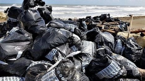 Civil Defence Minister Kris Faafoi: 'Longer term solution' needed for coastal erosion | Stuff.co.nz | Coastal Restoration | Scoop.it