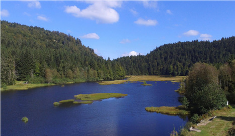 "Mission nature" : Les tourbi&egrave;res des Vosges retenues pour le nouveau jeu de la Fran&ccedil;aise des jeux | La SELECTION du Web | CAUE des Vosges - www.caue88.com | Scoop.it