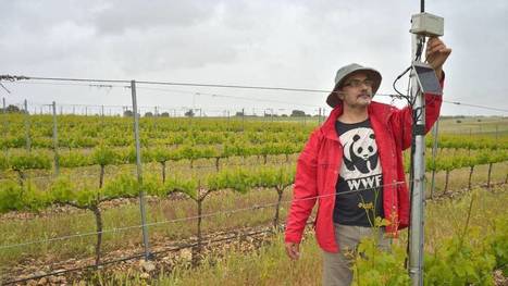 Las diez ideas españolas para ahorrar agua frente al cambio climático | #Campoo y Sur de #Cantabria | Scoop.it