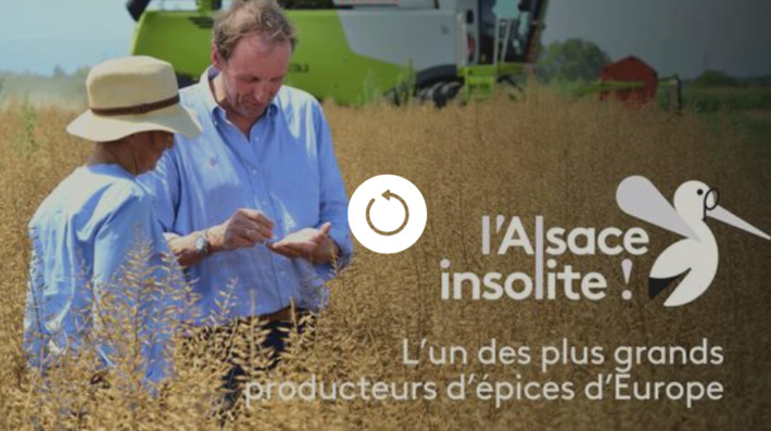 INSOLITE. L'un des leaders europ&eacute;ens des &eacute;pices est n&eacute; dans cette petite cour de ferme | Th&eacute;matique culture et histoire de l'Alsace | Scoop.it