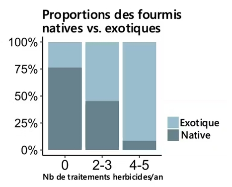 Le glyphosate réduit la biodiversité du sol et diminue la proportion d’espèces natives | EntomoNews | Scoop.it
