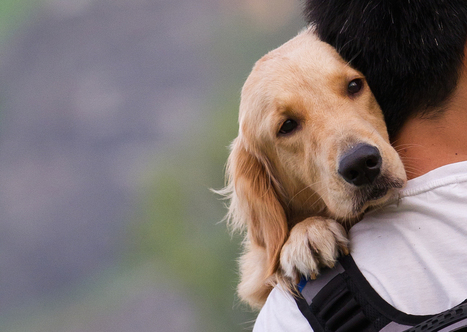 4 Emotional Elements That Are Vital to Storytelling in Marketing | Good Marketing | Scoop.it