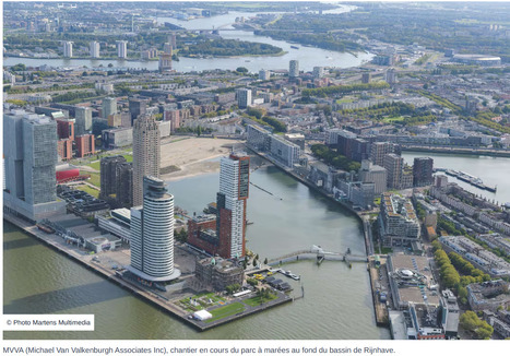 Rotterdam renoue avec ses mar&eacute;es ! | Veille UrbaLyon : Cities in Europe ... : Best practises, Be Inspire ! | Scoop.it