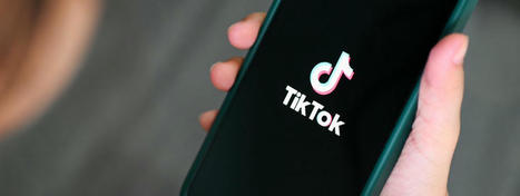 Drive Sales and Engagement with Captivating TikTok Video Ads | DSM Dropshipmedia | Scoop.it