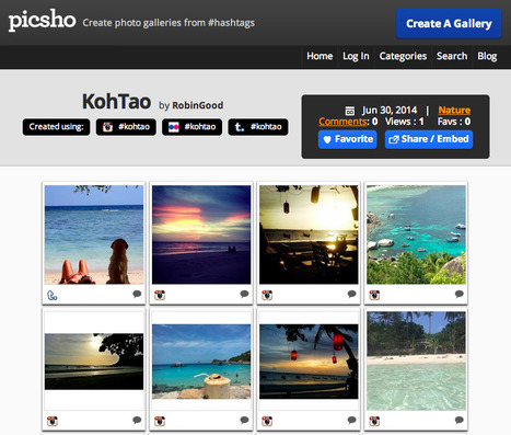 Curate Embeddable Thematic Photo Galleries from Social Hashtags with Picsho | Content Curation World | Scoop.it