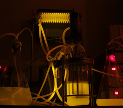 dana centre - event - Synthetic Biology: Machine or Life? | SynBioFromLeukipposInstitute | Scoop.it