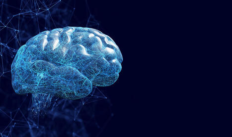 Scientists Uncover Key Brain Cells Most at Risk of Damage in Multiple Sclerosis | Multiple sclerosis | Scoop.it