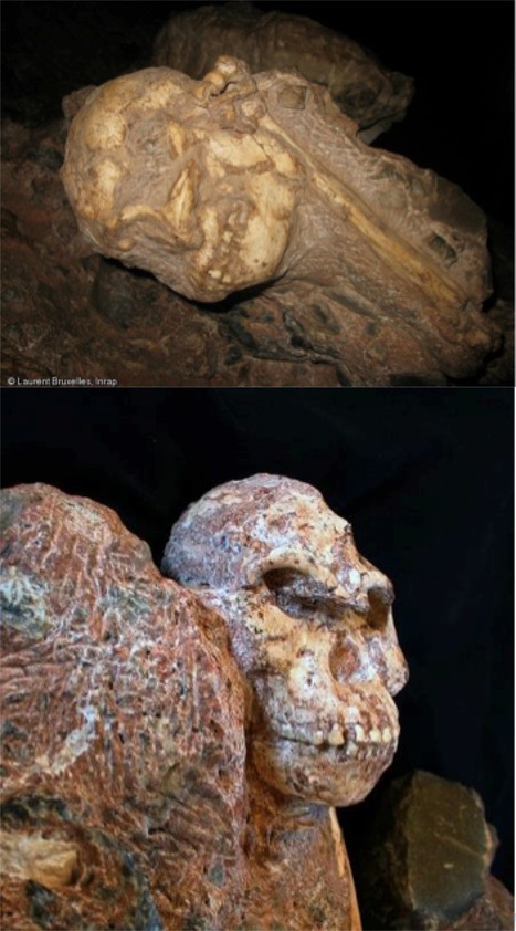 L’australopithèque Little Foot est plus vieux que Lucy | Koter Info - La Gazette de LLN-WSL-UCL | Scoop.it
