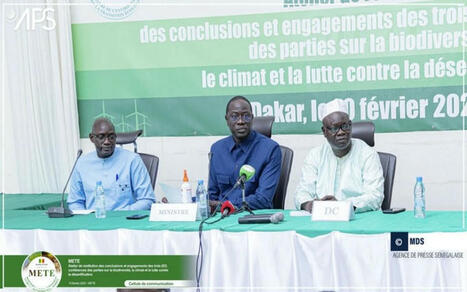 COP 2024 : les engagements du Sénégal en matière de climat, biodiversité et désertification présentés aux acteurs | Veille UrbaLyon :  Les transitions dans les Pays du Sud | Scoop.it