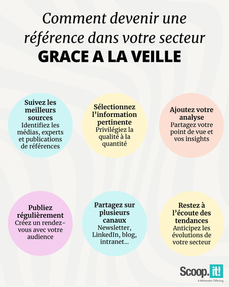 #15 - Comment devenir une r&eacute;f&eacute;rence dans votre secteur gr&acirc;ce &agrave; la veille | Scoop.it Tutos & Conseils | Scoop.it