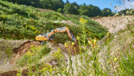 Compensation écologique : une « foncière de biodiversité » créée par la CDC biodiversité et la Banque des territoires - Environnement Magazine | ECOLOGIE - ENVIRONNEMENT | Scoop.it