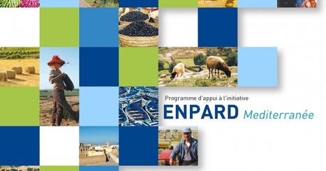 Euro-Méditerranée: une série de rapports de clôture pour le projet ENPARD - Support Méditerranée financé par l'UE | Espace Méditerranéen : géopolitique, coopération... | Scoop.it