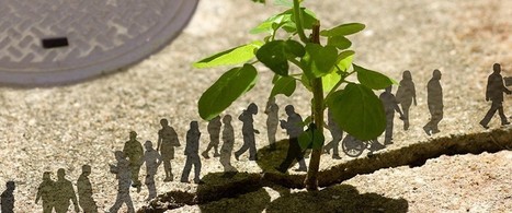 L&rsquo;&eacute;cologie urbaine | Terre des Sciences | Nature en ville | Scoop.it