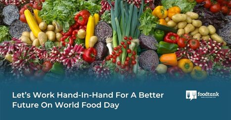 Let’s Work Hand-In-Hand for a Better Future on WORLD FOOD DAY | CIHEAM Press Review | Scoop.it