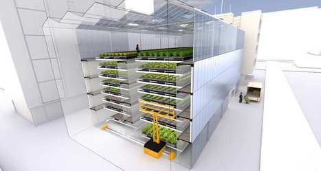 Une FERME urbaine pour renouveler la salade lyonnaise | URBANmedias | Scoop.it
