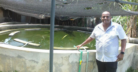 How a Kenyan business administration graduate ventured into AQUACULTURE | CIHEAM Press Review | Scoop.it