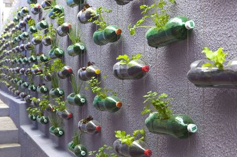 Urban Vertical Garden Built From Hundreds of Recycled Soda Bottles | Eco-Friendly Lifestyle | Scoop.it