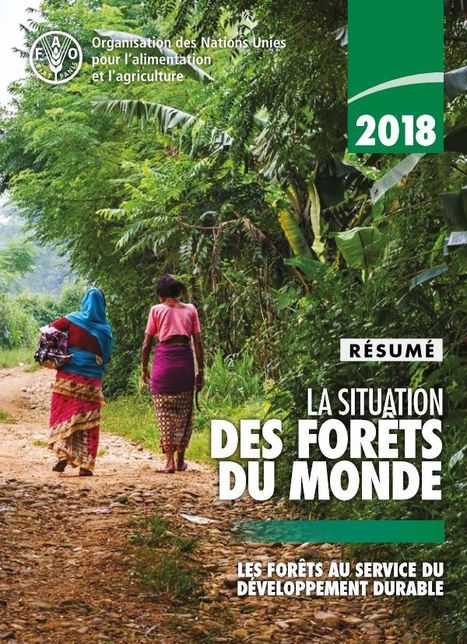 La situation des forêts du monde en 2018 - Résumé FAO | Insect Archive | Scoop.it