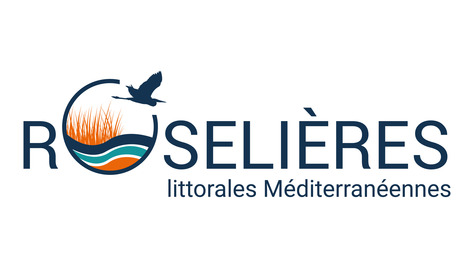 Roselières littorales Méditerranéennes - ADENA | Biodiversité | Scoop.it