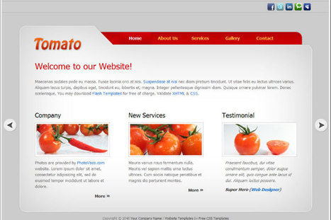 20 Professional Web Page Templates | Website template | Scoop.it