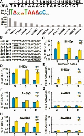 Quantitative analysis of TALE–DNA interactions suggests polarity effects - Nucl.Acids.Res. | TAL effector science | Scoop.it