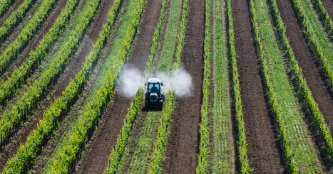 Autorisation des pesticides : le Parlement européen veut une évolution de la réglementation | SCIENCES DU VEGETAL | Scoop.it