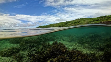 Implementing the Global Biodiversity Framework | &Eacute;cosyst&egrave;mes Tropicaux | Scoop.it